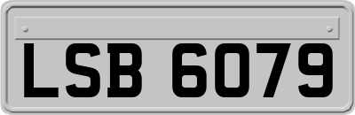 LSB6079