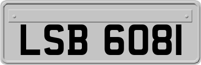 LSB6081