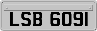 LSB6091