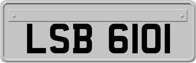 LSB6101