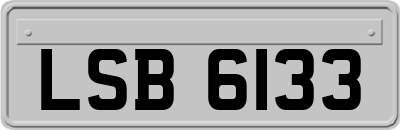 LSB6133