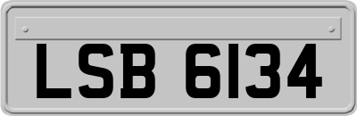LSB6134