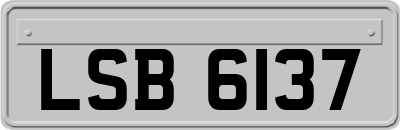 LSB6137
