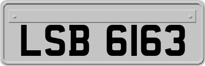 LSB6163