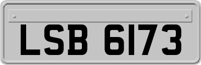 LSB6173