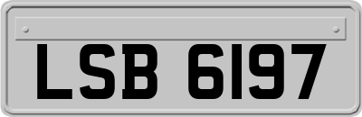 LSB6197