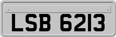 LSB6213