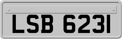 LSB6231