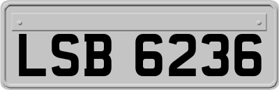 LSB6236