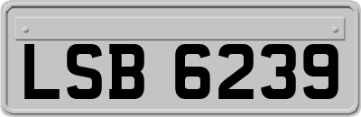 LSB6239