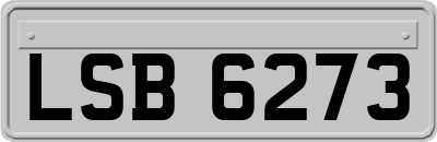 LSB6273