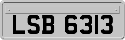 LSB6313