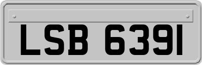 LSB6391