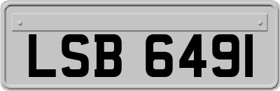 LSB6491