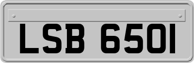 LSB6501