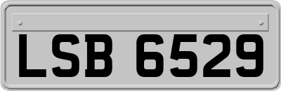 LSB6529