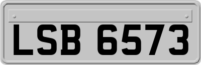 LSB6573