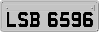 LSB6596