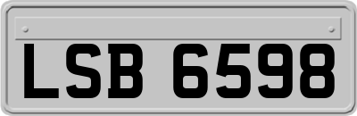 LSB6598