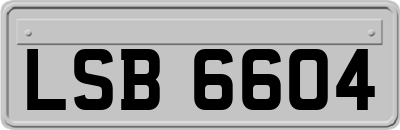 LSB6604