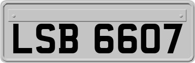 LSB6607