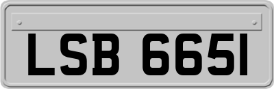LSB6651