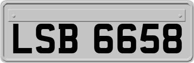 LSB6658
