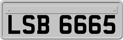 LSB6665