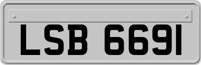 LSB6691