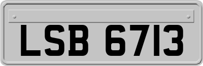LSB6713