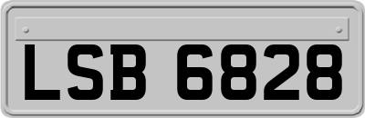LSB6828