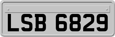 LSB6829