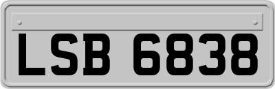 LSB6838