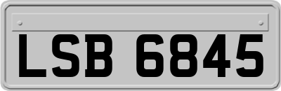 LSB6845