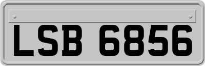 LSB6856