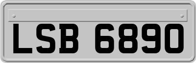LSB6890