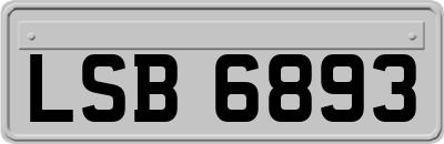 LSB6893