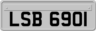 LSB6901