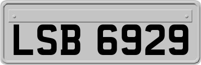LSB6929