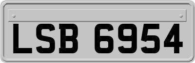 LSB6954