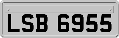 LSB6955