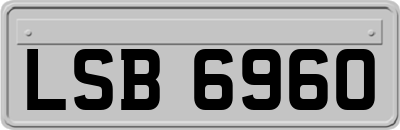 LSB6960