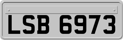 LSB6973