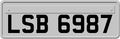 LSB6987