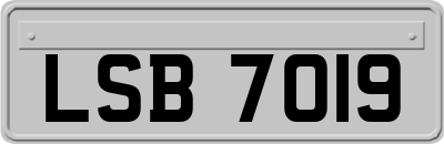 LSB7019