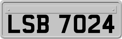 LSB7024