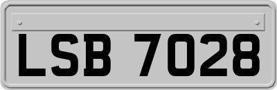 LSB7028