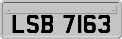 LSB7163