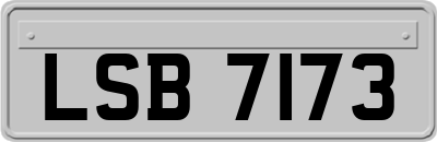 LSB7173