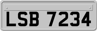 LSB7234